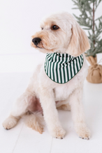 Load image into Gallery viewer, Green Stripes | DOG BANDANNA