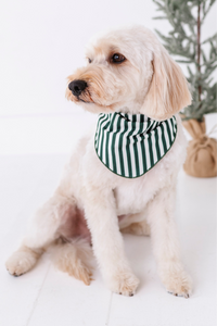 Green Stripes | DOG BANDANNA