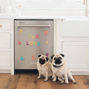 Magnetic Letters: LARGE (36 Pieces)