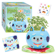 Load image into Gallery viewer, Plant and Decorate a Pet Mini Grow Craft Kit for Kids: Unicorn