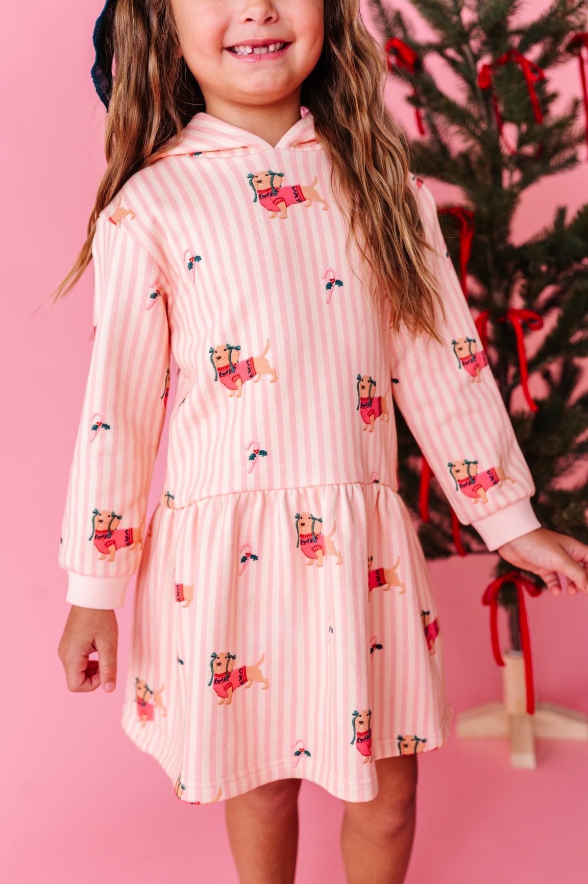 Doxie Holiday | Hoodie Sweatshirt Dress