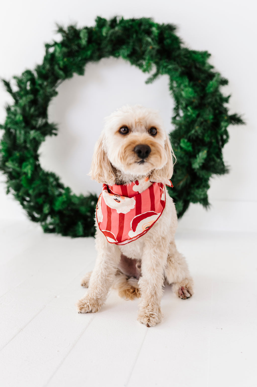RED Santa Stripes | DOG Bandanna