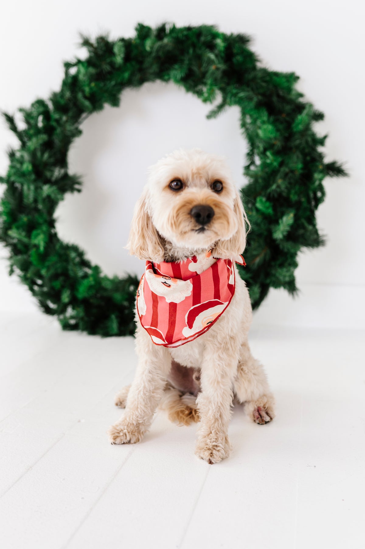 RED Santa Stripes | DOG Bandanna