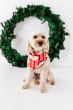 Load image into Gallery viewer, RED Santa Stripes | DOG Bandanna