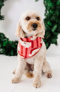 RED Santa Stripes | DOG Bandanna