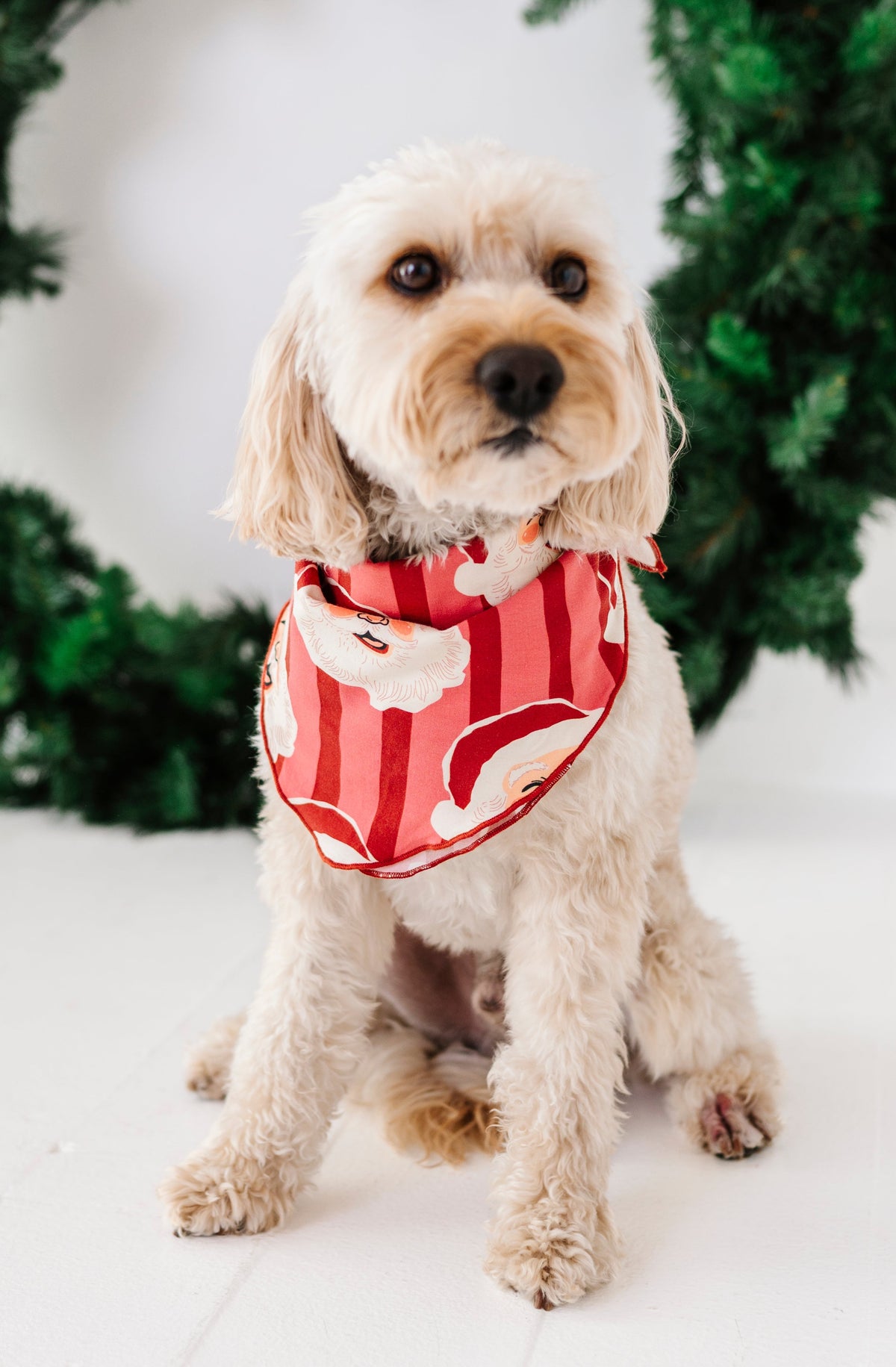 RED Santa Stripes | DOG Bandanna