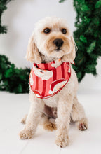 Load image into Gallery viewer, RED Santa Stripes | DOG Bandanna
