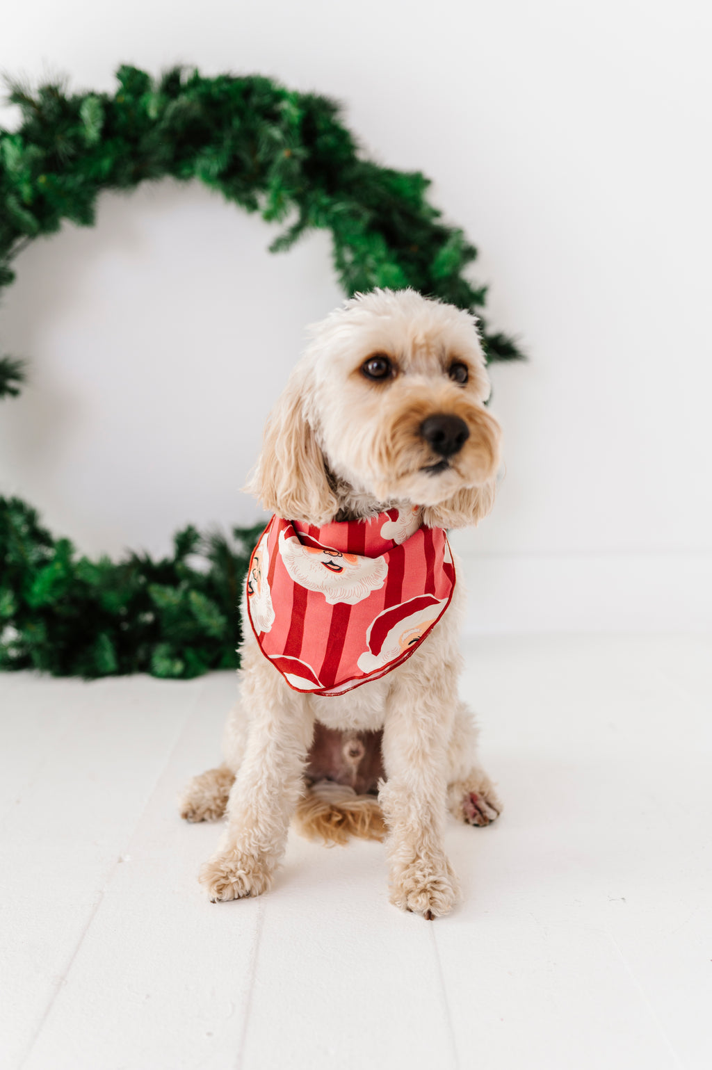 RED Santa Stripes | DOG Bandanna