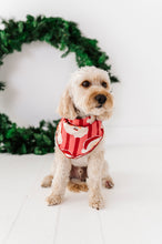 Load image into Gallery viewer, RED Santa Stripes | DOG Bandanna