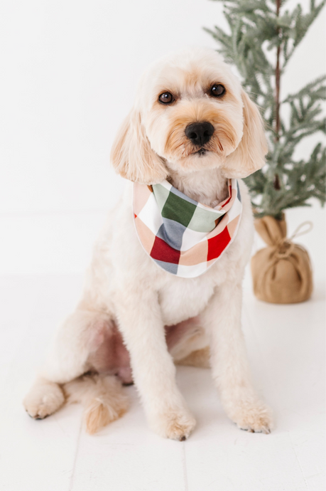 Holiday Plaid | DOG BANDANNA