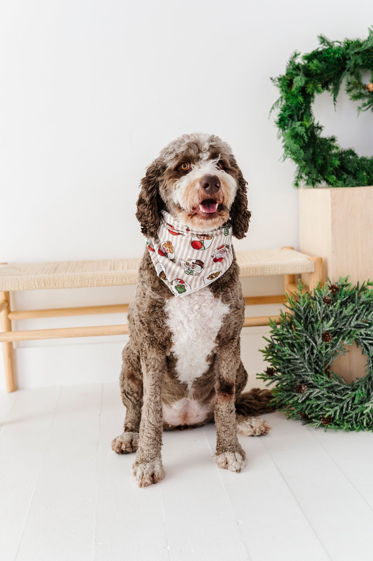 Classic Characters | DOG Bandanna