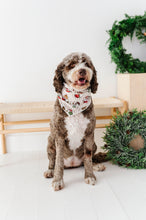 Load image into Gallery viewer, Classic Characters | DOG Bandanna