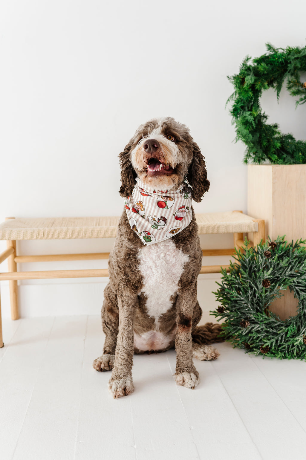 Classic Characters | DOG Bandanna