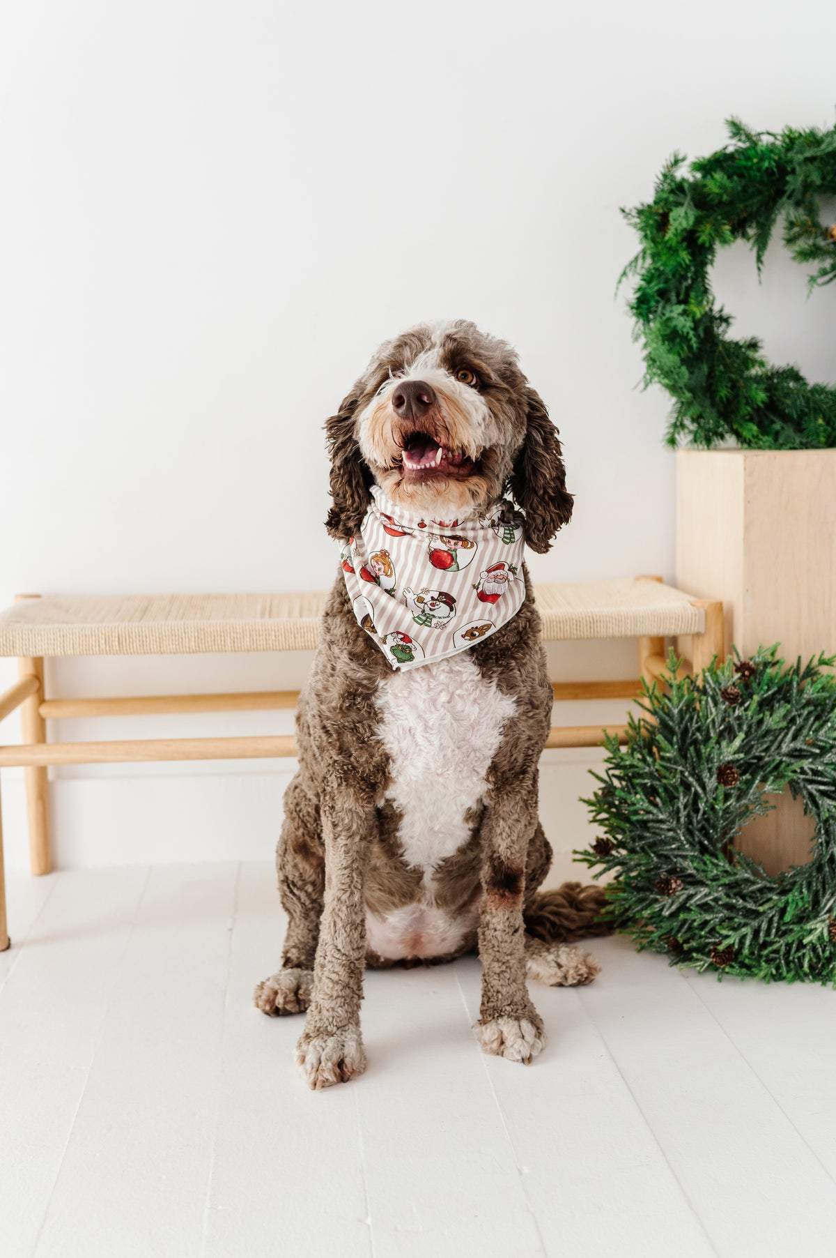 Classic Characters | DOG Bandanna