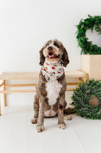Load image into Gallery viewer, Classic Characters | DOG Bandanna