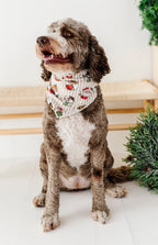 Classic Characters | DOG Bandanna