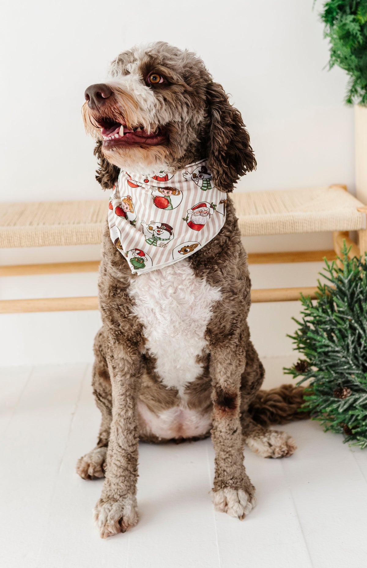 Classic Characters | DOG Bandanna