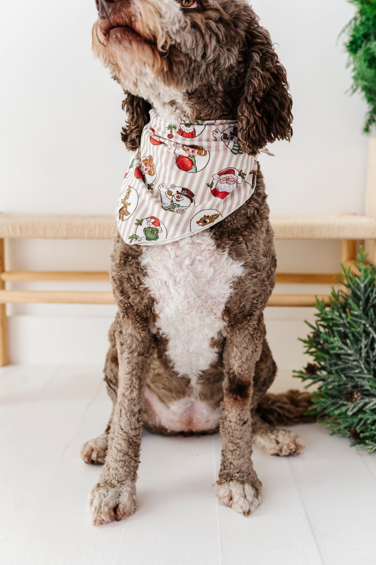 Classic Characters | DOG Bandanna