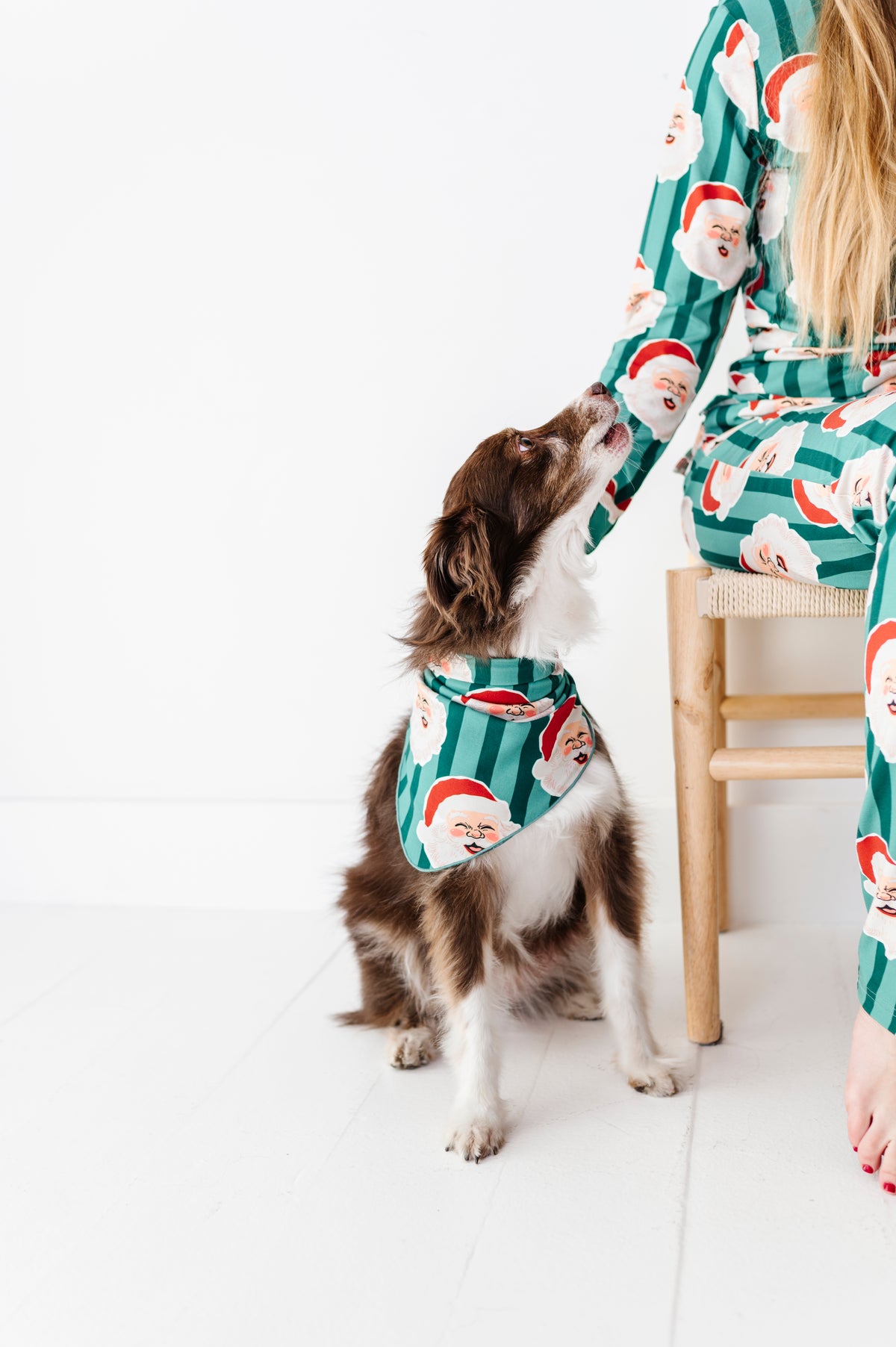 GREEN Santa Stripes | DOG Bandanna