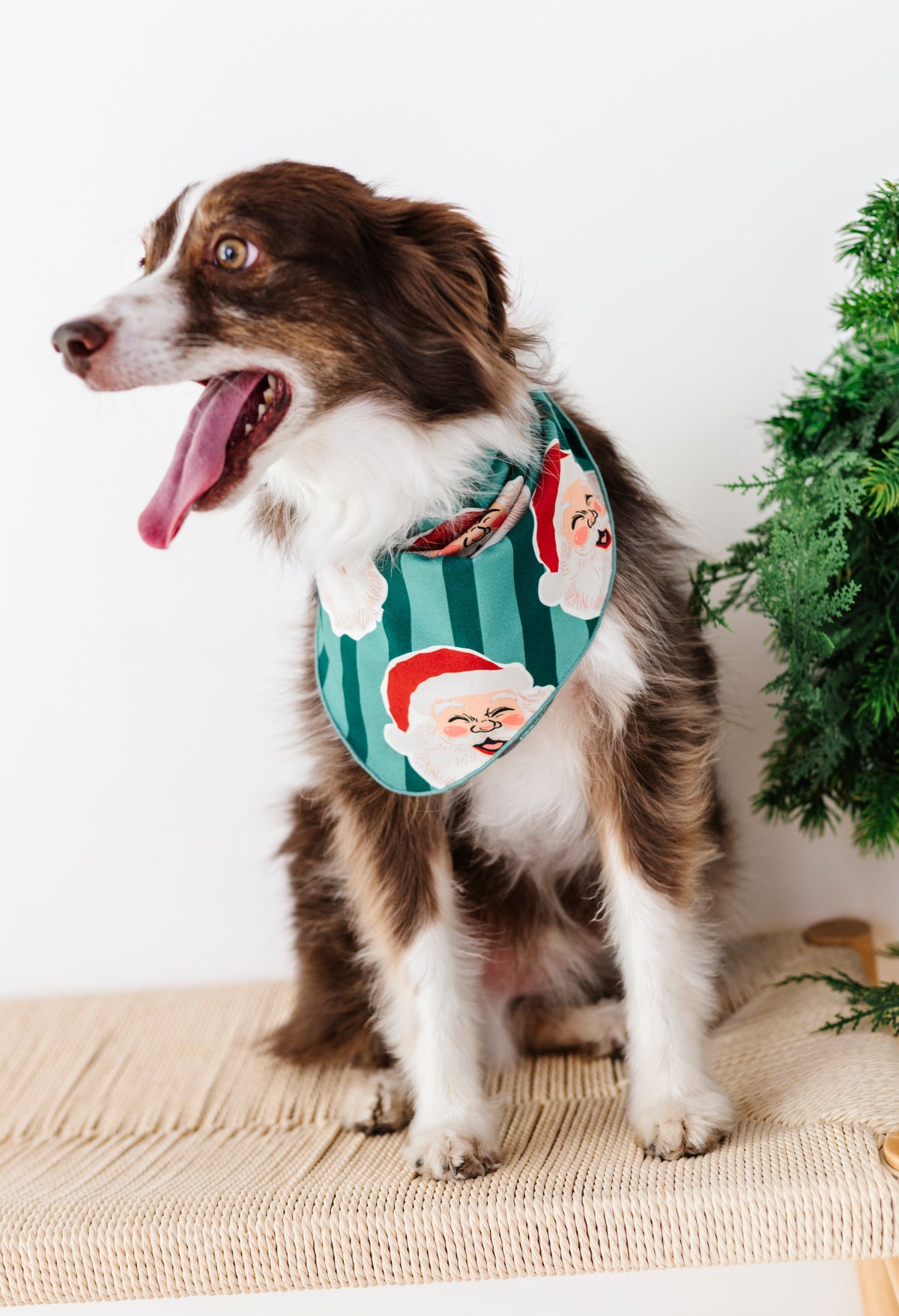 GREEN Santa Stripes | DOG Bandanna