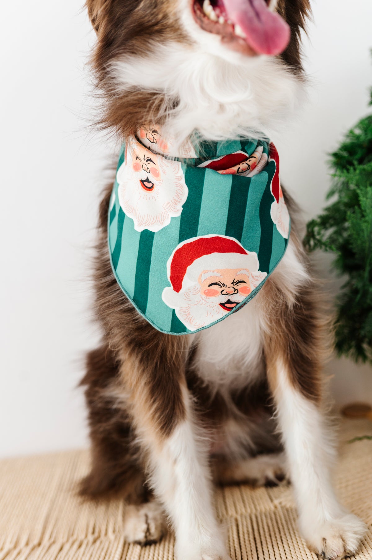 GREEN Santa Stripes | DOG Bandanna