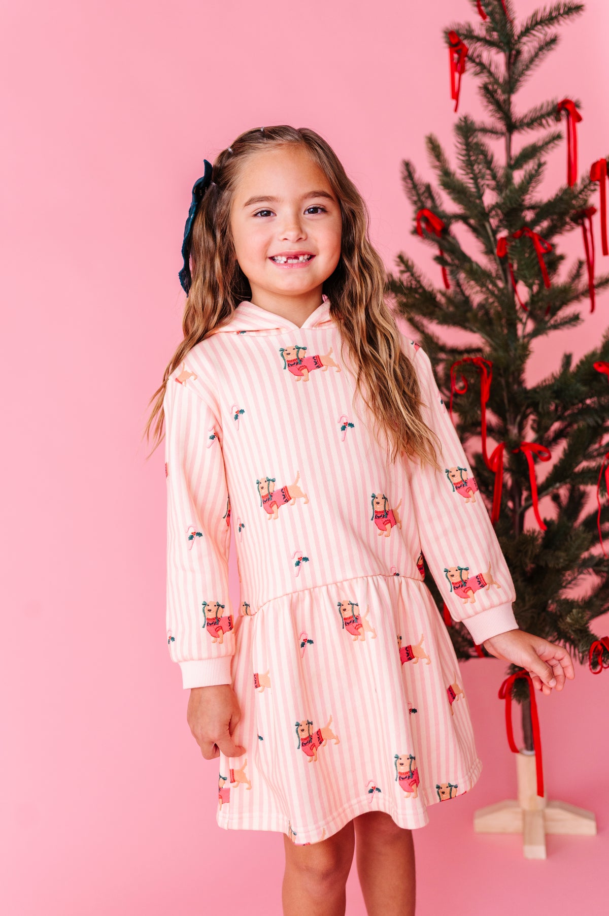 Doxie Holiday | Hoodie Sweatshirt Dress