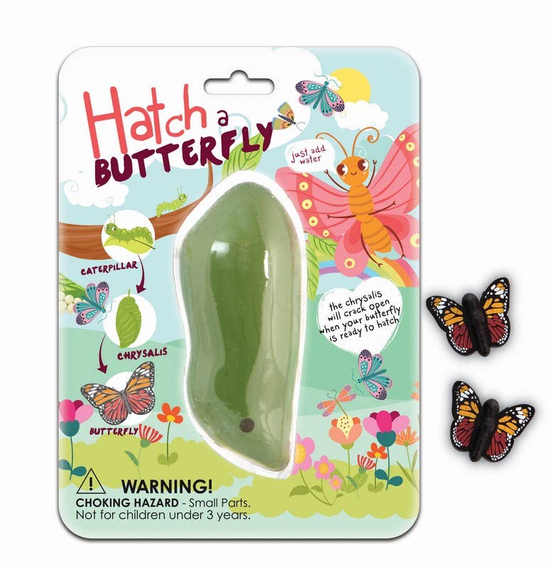 Hatch A Butterfly Toy