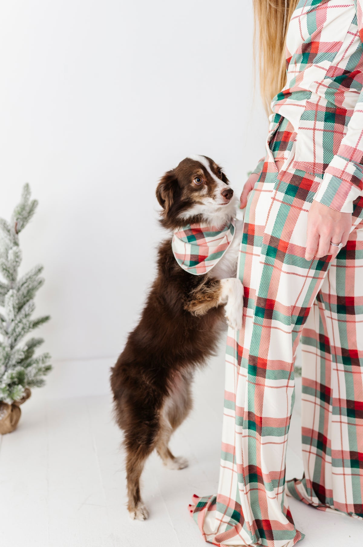Holiday Plaid | DOG Bandanna