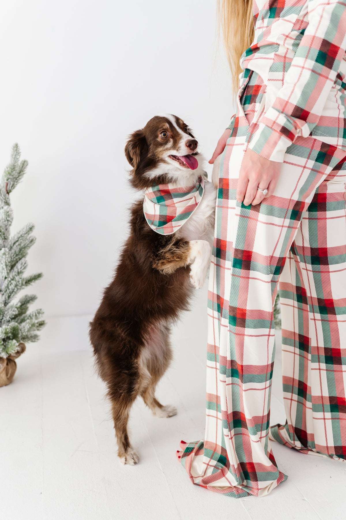 Holiday Plaid | DOG Bandanna