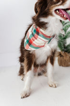 Load image into Gallery viewer, Holiday Plaid | DOG Bandanna