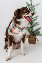 Load image into Gallery viewer, Holiday Plaid | DOG Bandanna