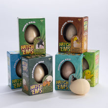 Load image into Gallery viewer, Dinosaurs (Mini Hatch'ems) | Watch them Grow!