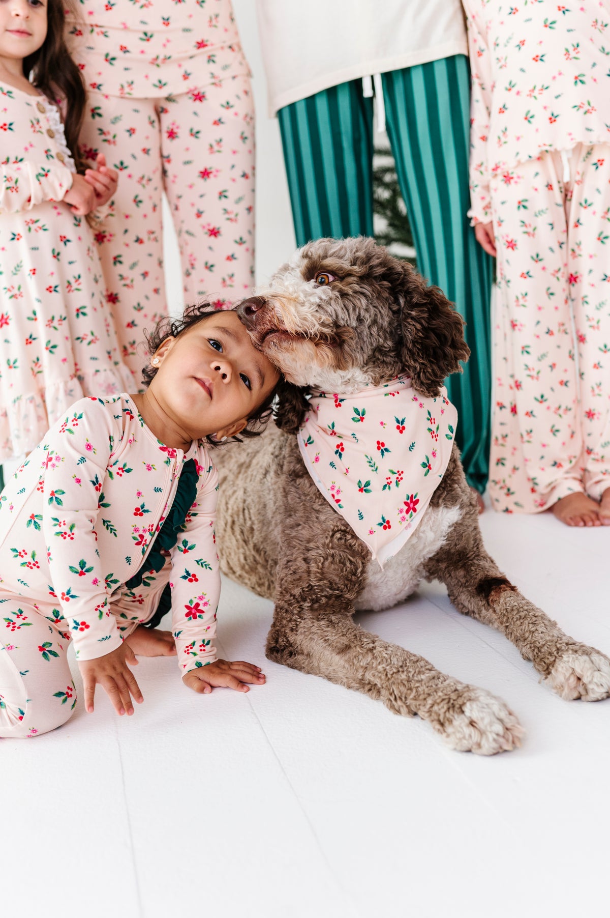 Holly Floral | DOG Bandanna