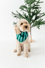 Load image into Gallery viewer, Evergreen Stripes | DOG Bandanna