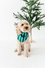 Load image into Gallery viewer, Evergreen Stripes | DOG Bandanna