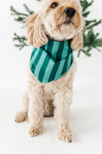 Load image into Gallery viewer, Evergreen Stripes | DOG Bandanna