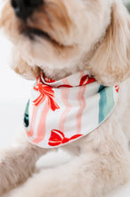 Load image into Gallery viewer, Bows | DOG BANDANNA