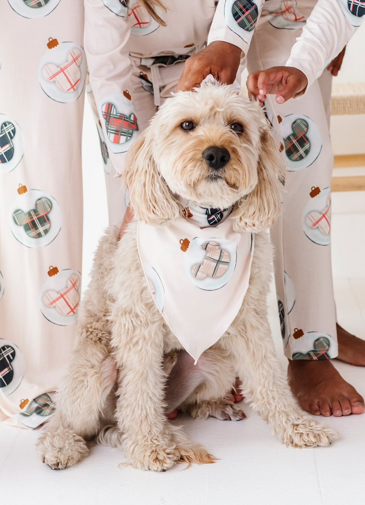 Magical Ornaments | DOG Bandanna