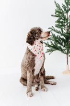 Load image into Gallery viewer, Holly Floral | DOG Bandanna