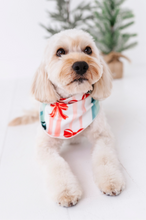 Load image into Gallery viewer, Bows | DOG BANDANNA