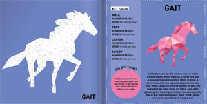 My Sticker Paintings Book: Horses