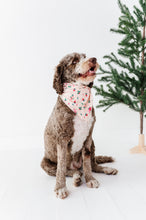 Load image into Gallery viewer, Holly Floral | DOG Bandanna