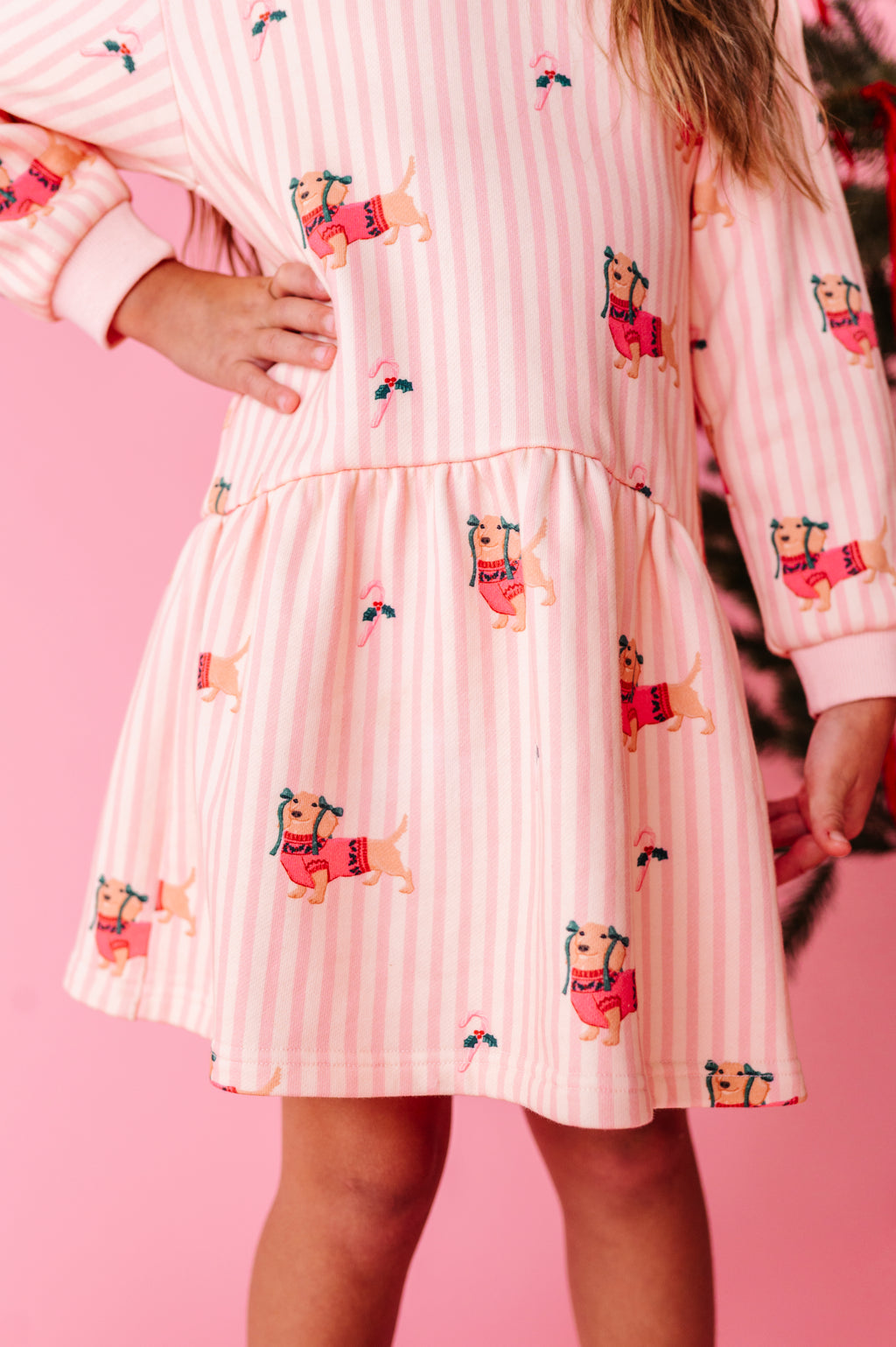 Doxie Holiday | Hoodie Sweatshirt Dress