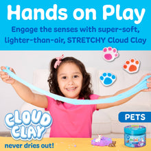 Load image into Gallery viewer, Sensory Minis Cloud Clay | PETS