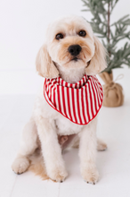 Load image into Gallery viewer, Red Stripes | DOG BANDANNA