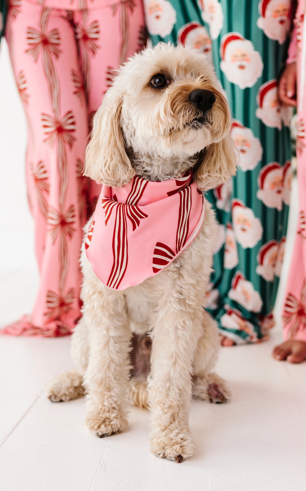 Peppermint Bows | DOG Bandanna