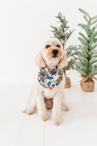 Holly Floral | DOG BANDANNA