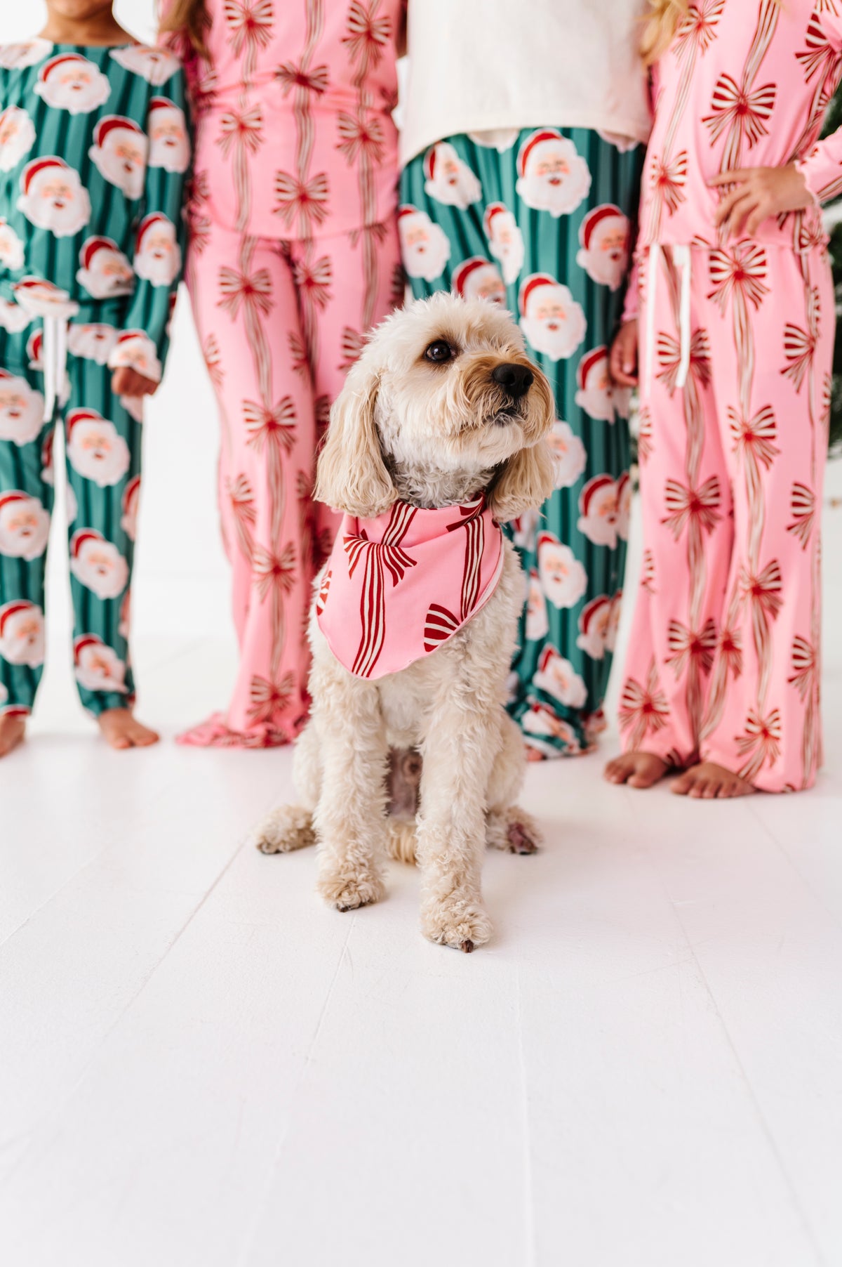 Peppermint Bows | DOG Bandanna