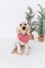 Load image into Gallery viewer, Red Stripes | DOG BANDANNA