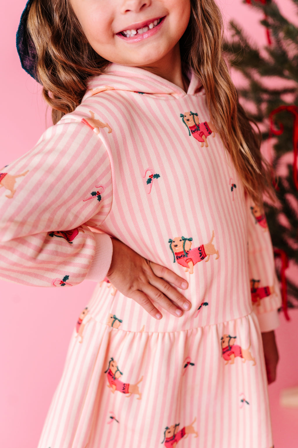 Doxie Holiday | Hoodie Sweatshirt Dress
